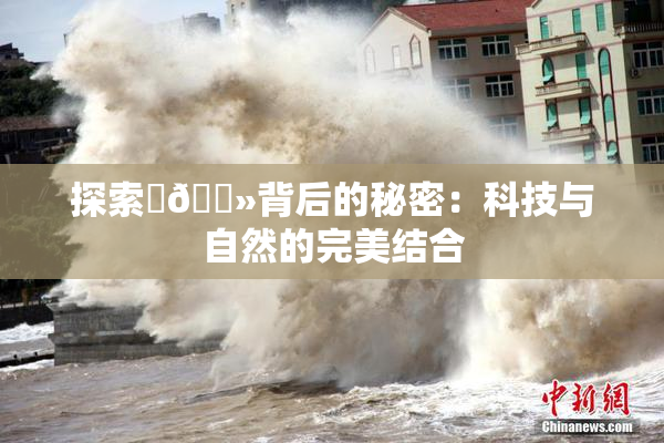 探索‌🐻背后的秘密：科技与自然的完美结合