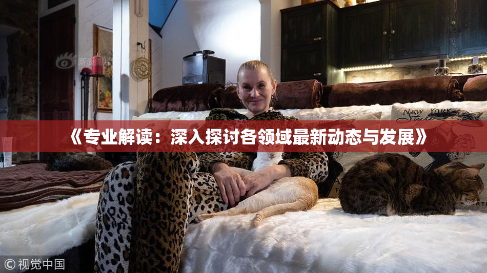 《专业解读：深入探讨各领域最新动态与发展》