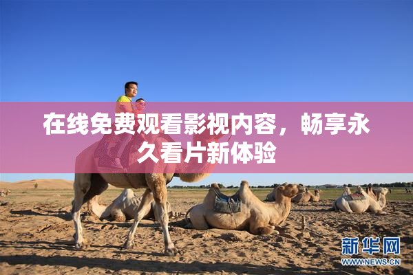 在线免费观看影视内容，畅享永久看片新体验