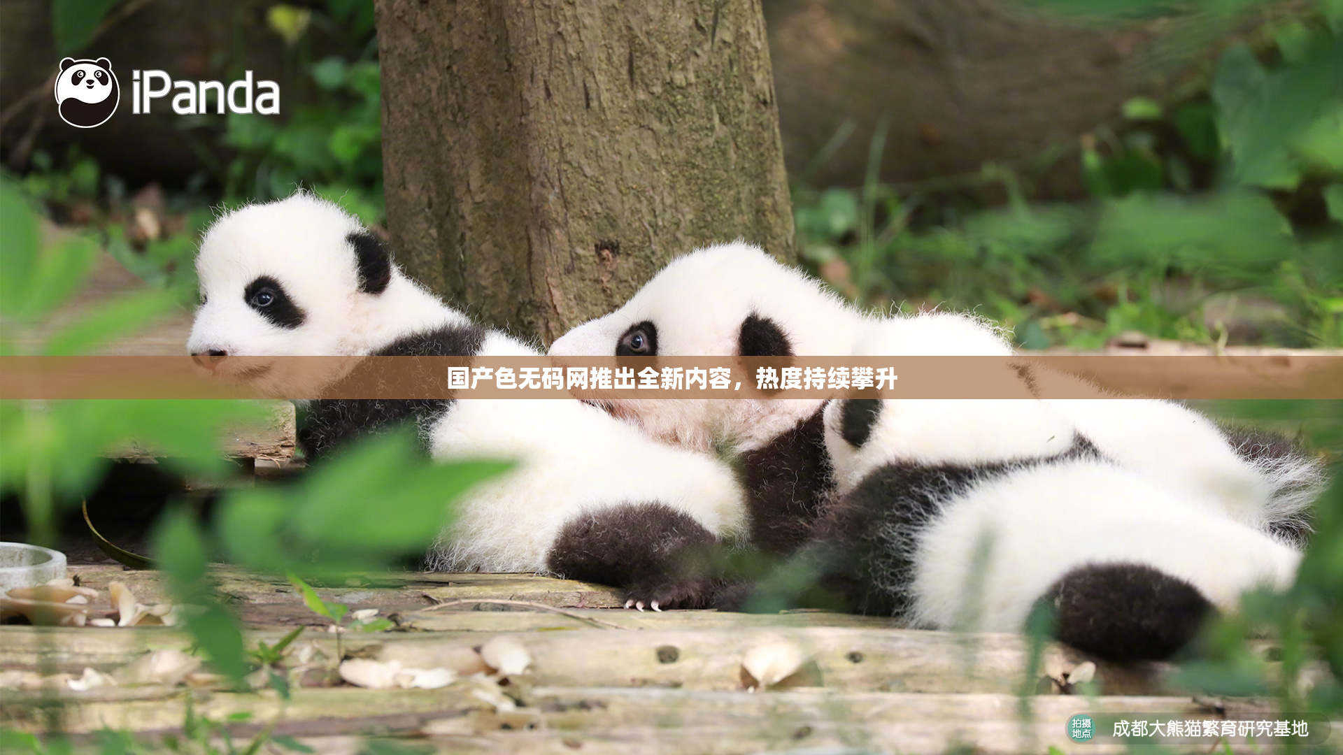 国产色无码网推出全新内容，热度持续攀升