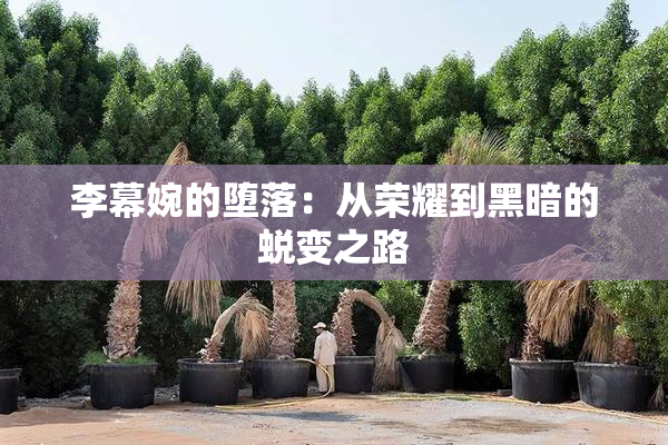 李幕婉的堕落：从荣耀到黑暗的蜕变之路