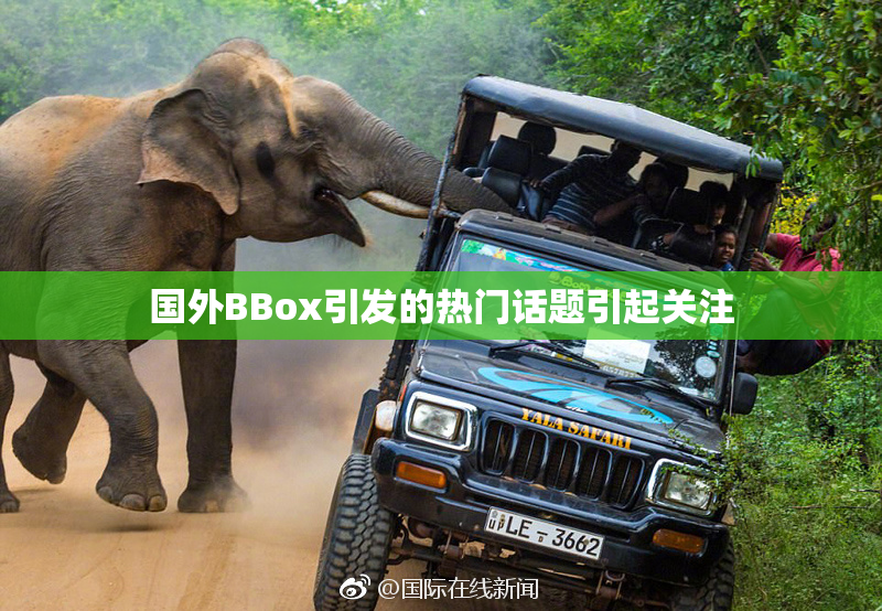 国外BBox引发的热门话题引起关注