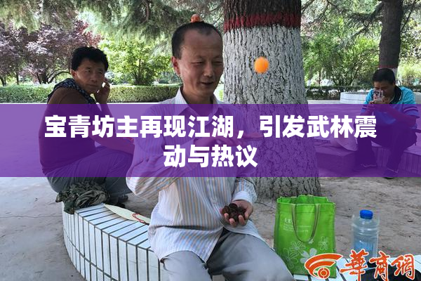 宝青坊主再现江湖，引发武林震动与热议