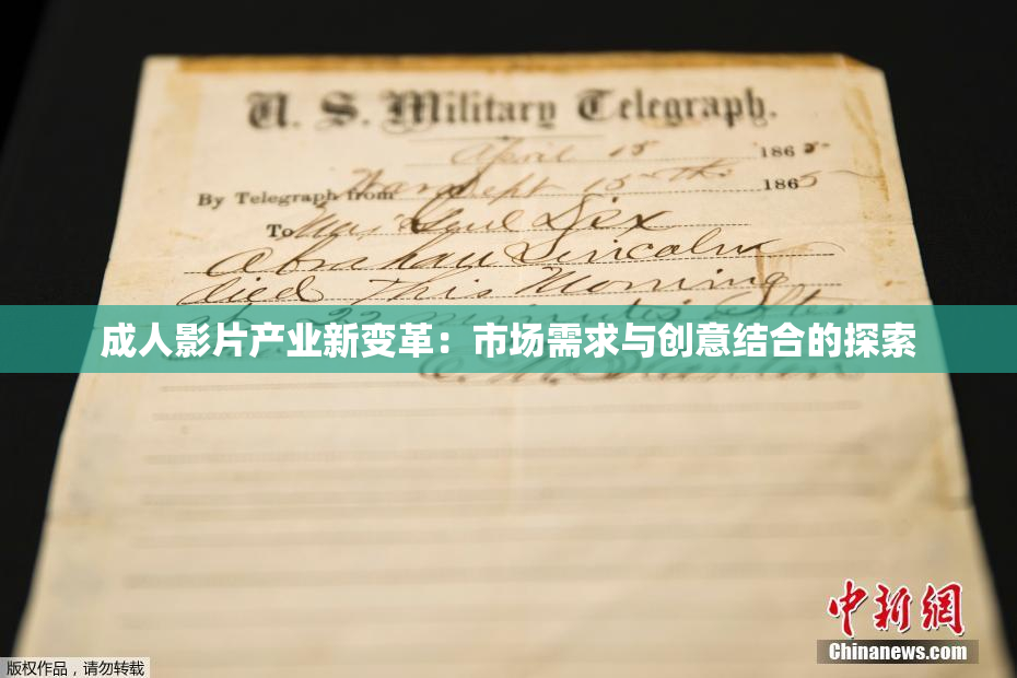 成人影片产业新变革：市场需求与创意结合的探索