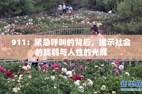 911：紧急呼叫的背后，揭示社会的脆弱与人性的光辉