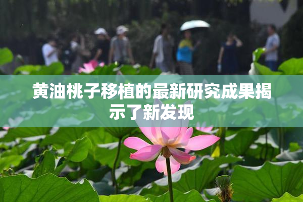 黄油桃子移植的最新研究成果揭示了新发现
