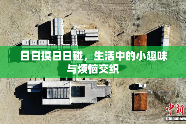 日日摸日日碰，生活中的小趣味与烦恼交织