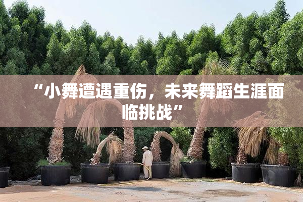 “小舞遭遇重伤，未来舞蹈生涯面临挑战”