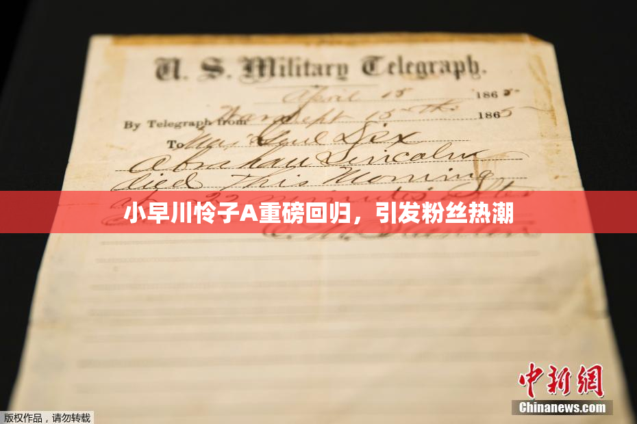 小早川怜子A重磅回归，引发粉丝热潮