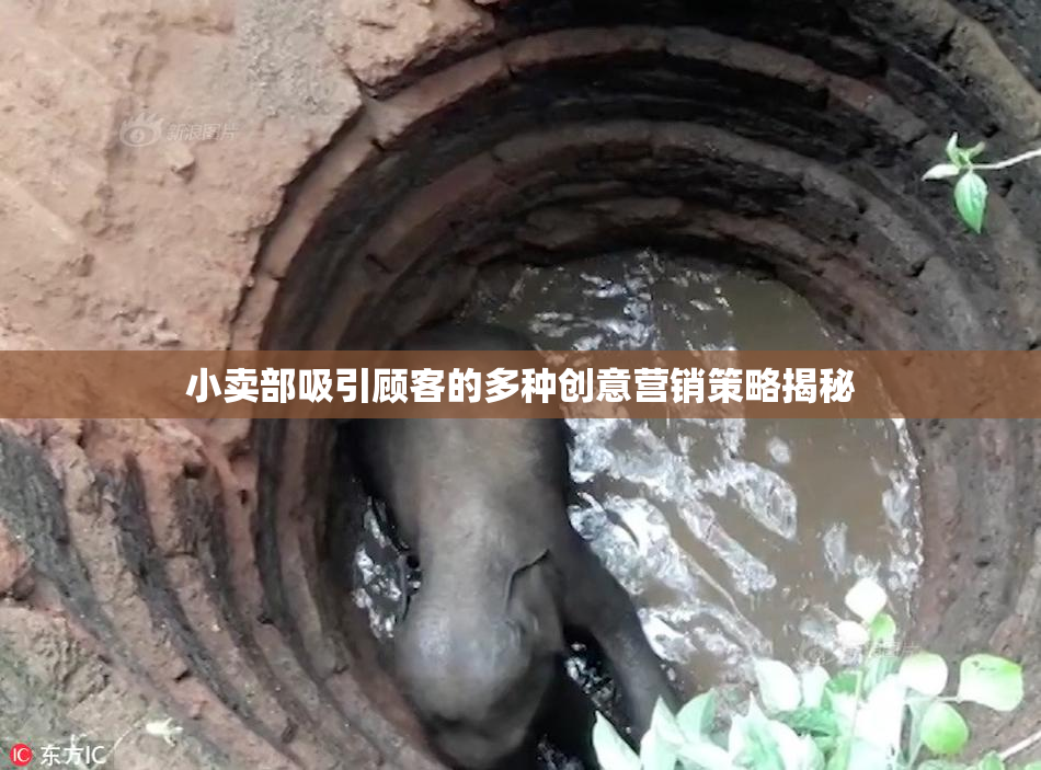 小卖部吸引顾客的多种创意营销策略揭秘