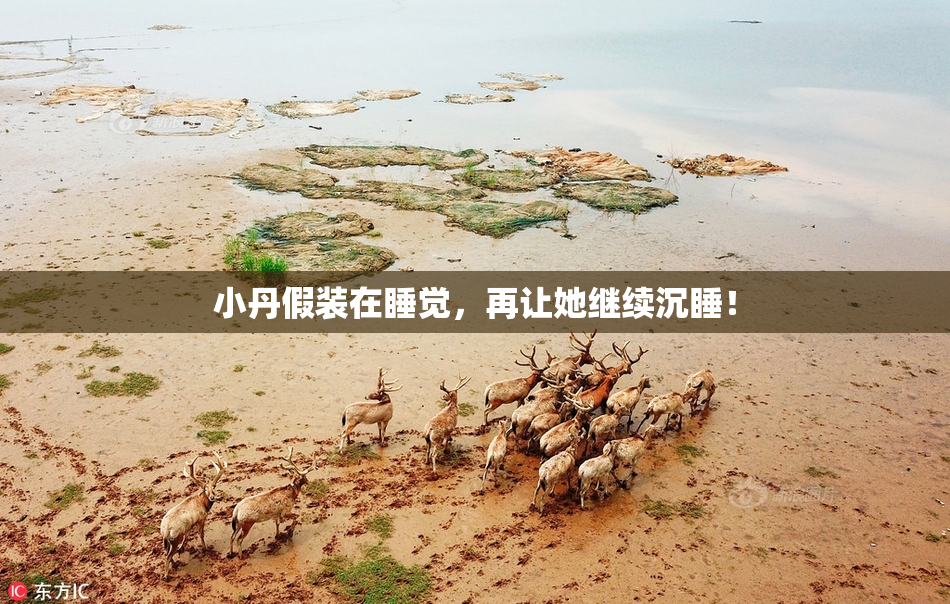 小丹假装在睡觉，再让她继续沉睡！