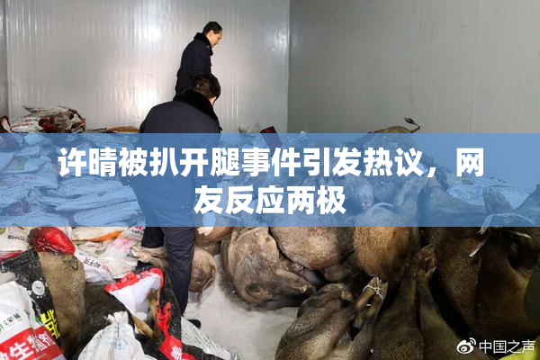 许晴被扒开腿事件引发热议，网友反应两极