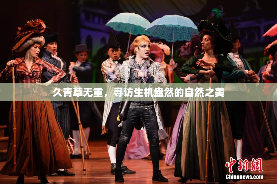 久青草无重，寻访生机盎然的自然之美