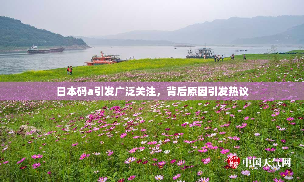 日本码a引发广泛关注，背后原因引发热议
