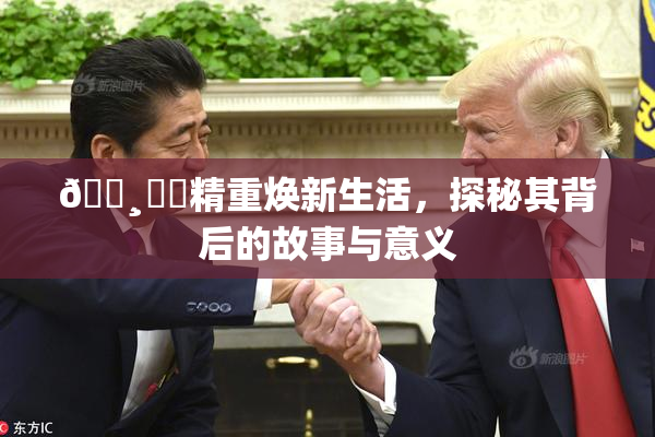 🌸‌✿精重焕新生活，探秘其背后的故事与意义