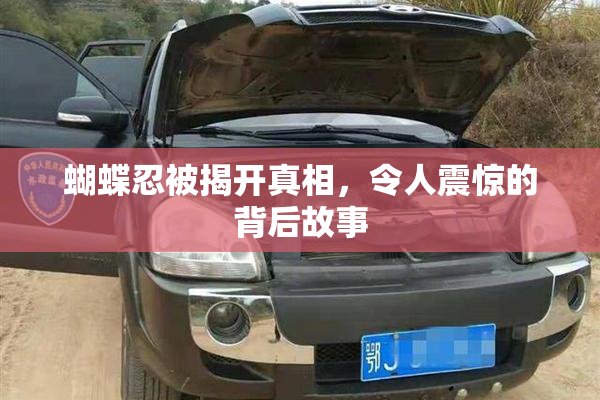 蝴蝶忍被揭开真相，令人震惊的背后故事