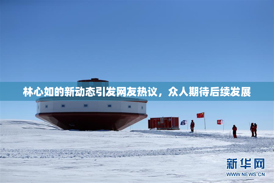 林心如的新动态引发网友热议，众人期待后续发展