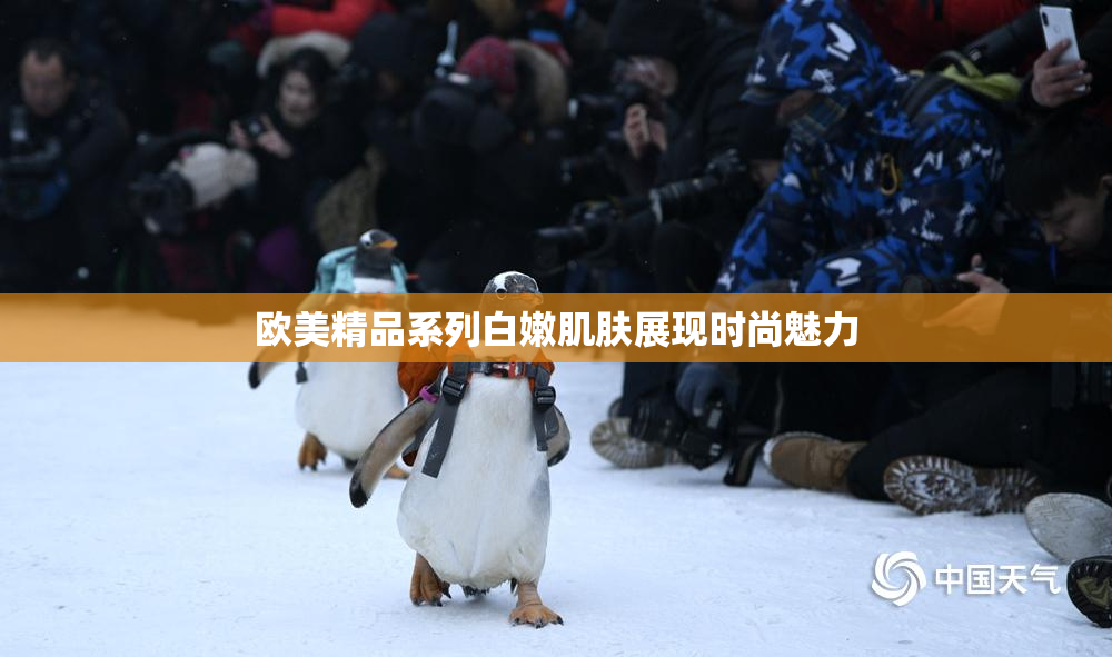 欧美精品系列白嫩肌肤展现时尚魅力
