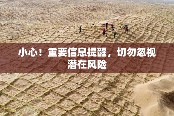 小心！重要信息提醒，切勿忽视潜在风险