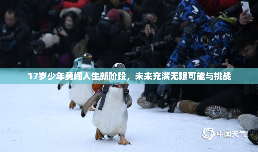 17岁少年勇闯人生新阶段，未来充满无限可能与挑战