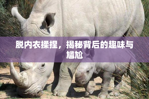 脱内衣揉捏，揭秘背后的趣味与尴尬