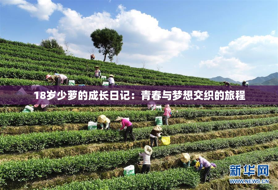 18岁少萝的成长日记：青春与梦想交织的旅程