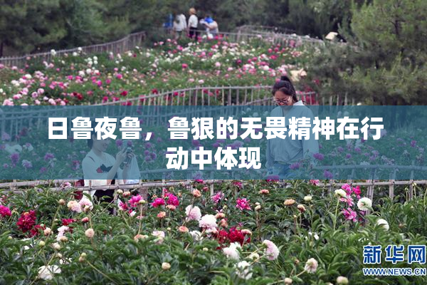 日鲁夜鲁，鲁狠的无畏精神在行动中体现