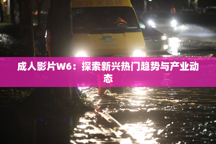 成人影片W6：探索新兴热门趋势与产业动态