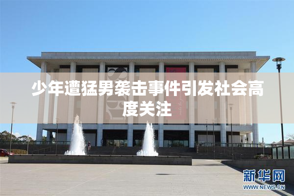 少年遭猛男袭击事件引发社会高度关注