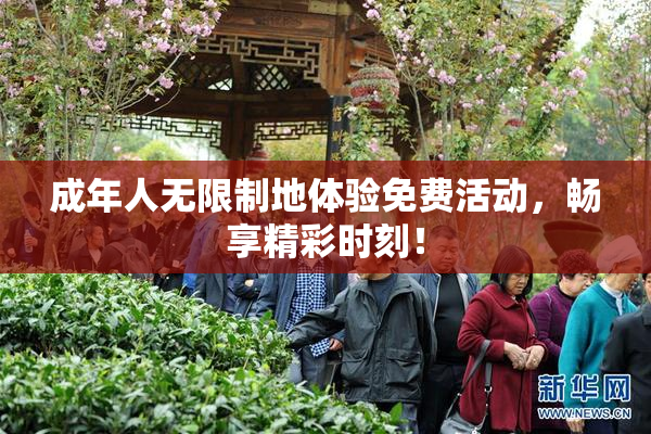 成年人无限制地体验免费活动，畅享精彩时刻！