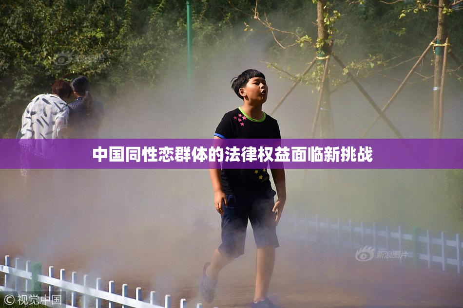 中国同性恋群体的法律权益面临新挑战