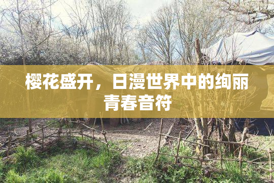 樱花盛开，日漫世界中的绚丽青春音符