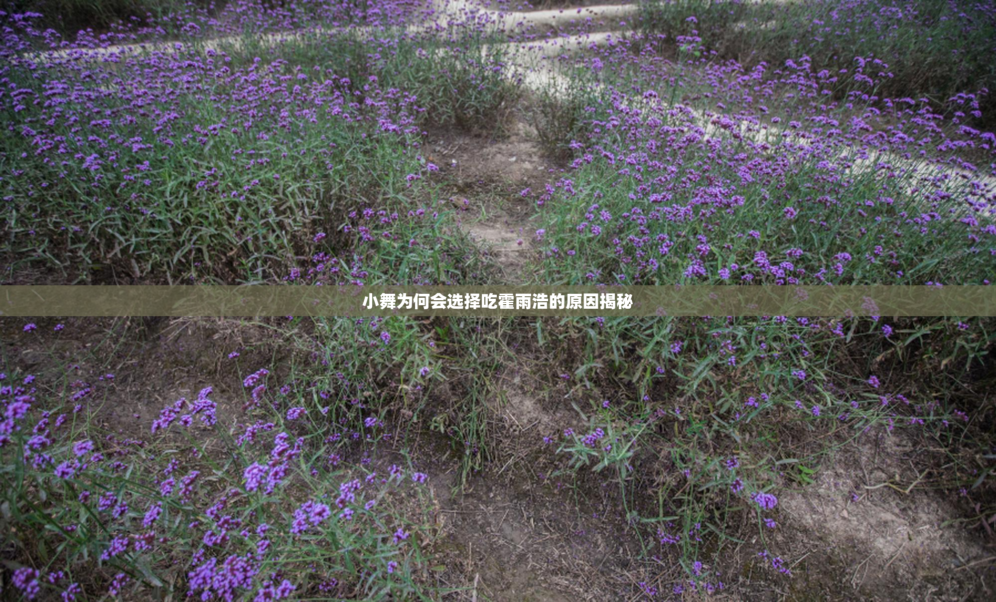 小舞为何会选择吃霍雨浩的原因揭秘