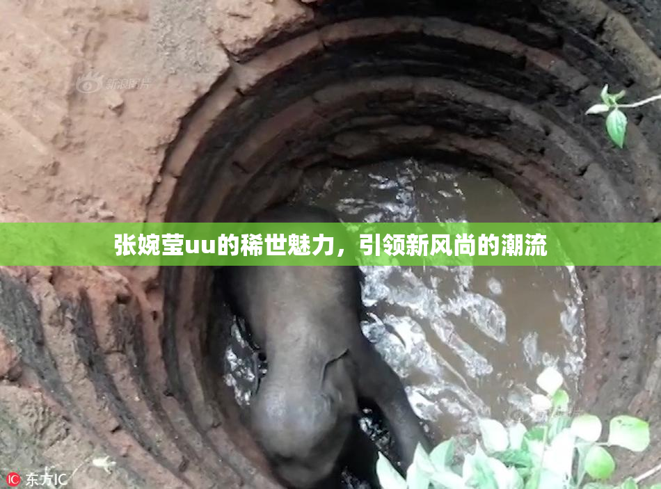 张婉莹uu的稀世魅力，引领新风尚的潮流