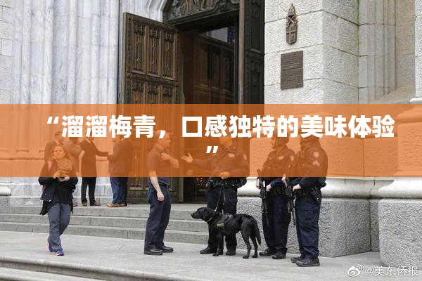 “溜溜梅青，口感独特的美味体验”