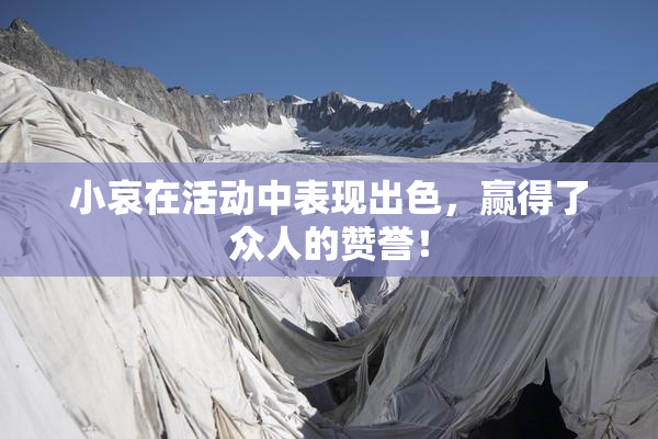 小哀在活动中表现出色，赢得了众人的赞誉！