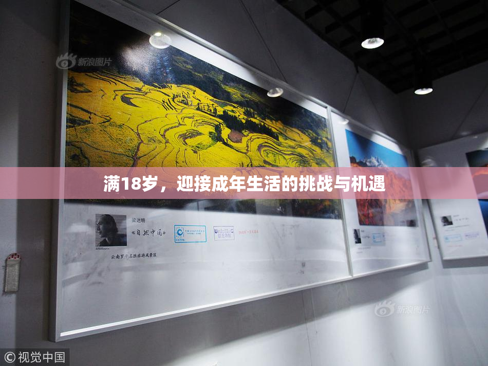 满18岁，迎接成年生活的挑战与机遇