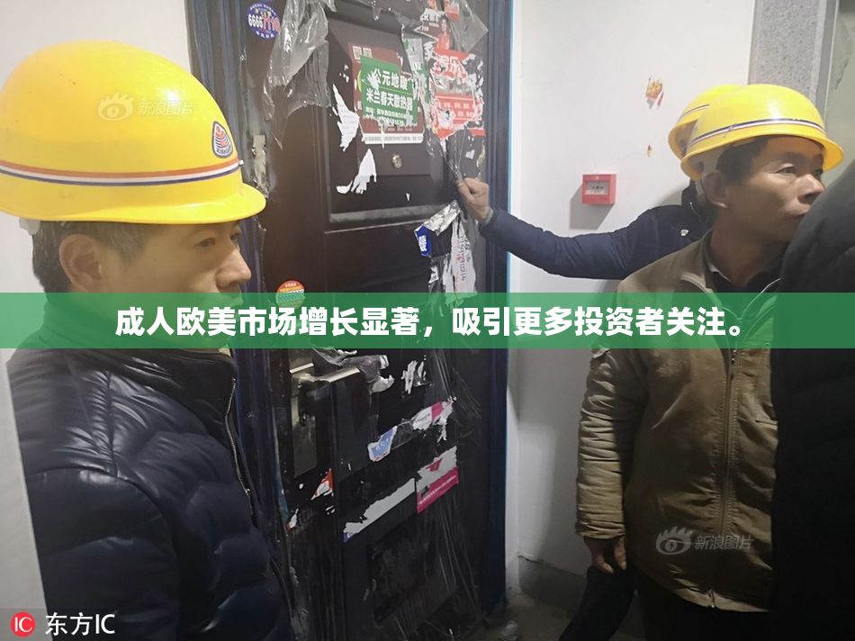 成人欧美市场增长显著，吸引更多投资者关注。