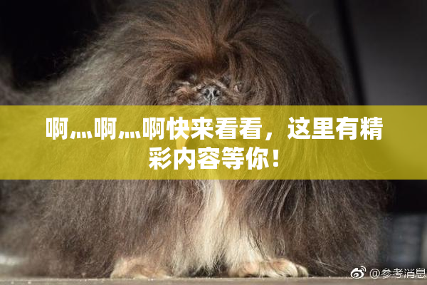 啊灬啊灬啊快来看看，这里有精彩内容等你！