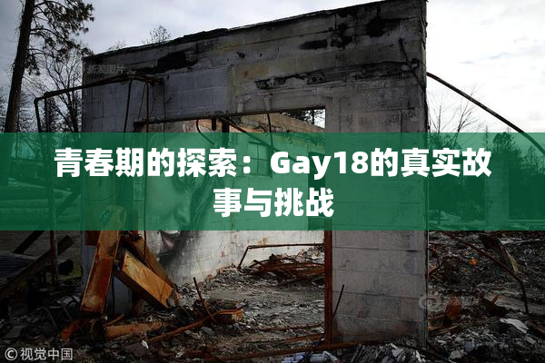 青春期的探索：Gay18的真实故事与挑战