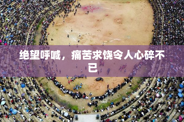 绝望呼喊，痛苦求饶令人心碎不已