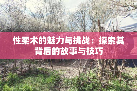 性柔术的魅力与挑战：探索其背后的故事与技巧