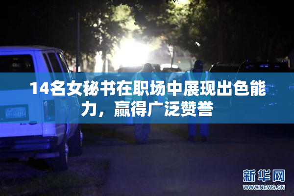 14名女秘书在职场中展现出色能力，赢得广泛赞誉