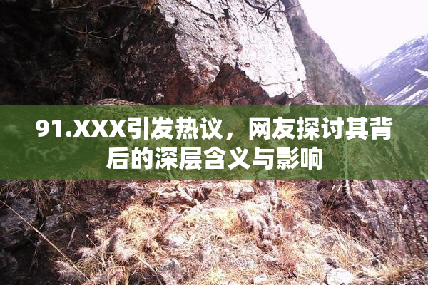 91.XXX引发热议，网友探讨其背后的深层含义与影响