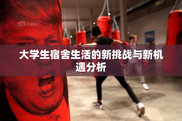 大学生宿舍生活的新挑战与新机遇分析