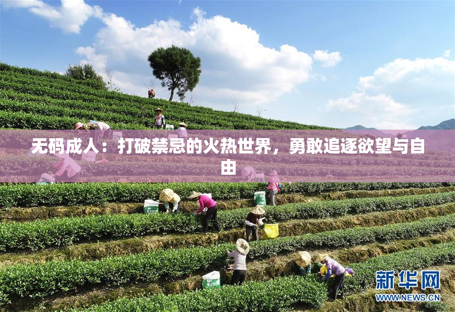 无码成人：打破禁忌的火热世界，勇敢追逐欲望与自由