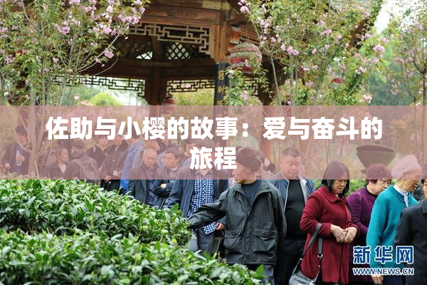 佐助与小樱的故事：爱与奋斗的旅程