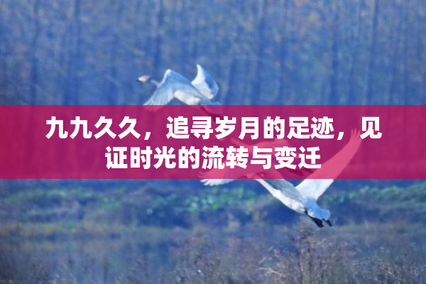 九九久久，追寻岁月的足迹，见证时光的流转与变迁