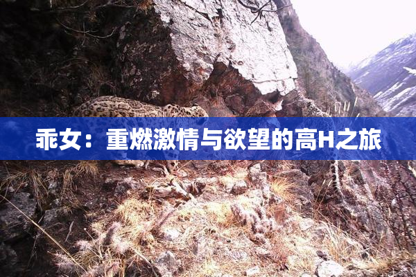 乖女：重燃激情与欲望的高H之旅