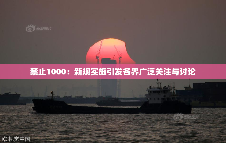 禁止1000：新规实施引发各界广泛关注与讨论